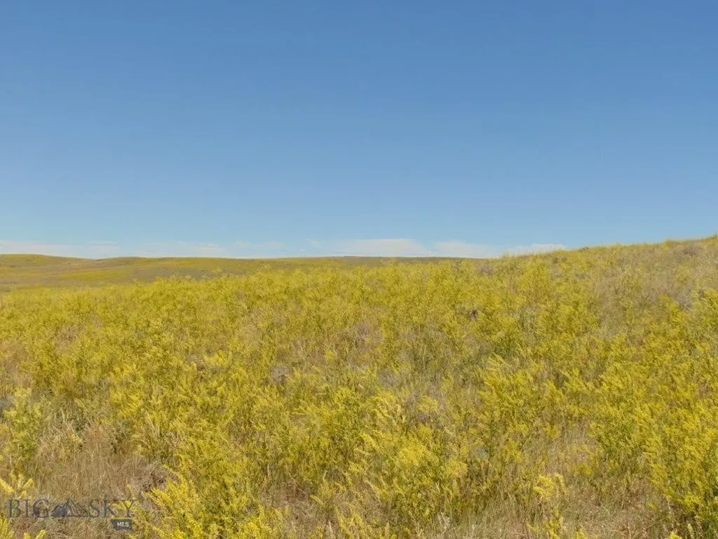 Tbd Wilder Trail Lewistown MT 59457
