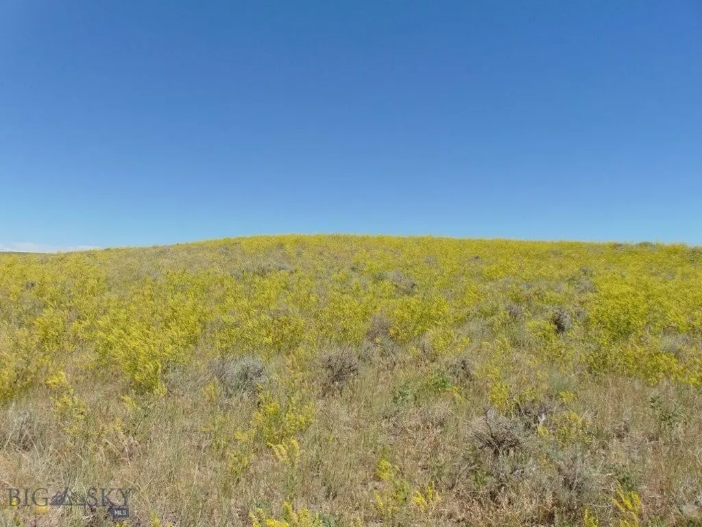 Tbd Wilder Trail Lewistown MT 59457