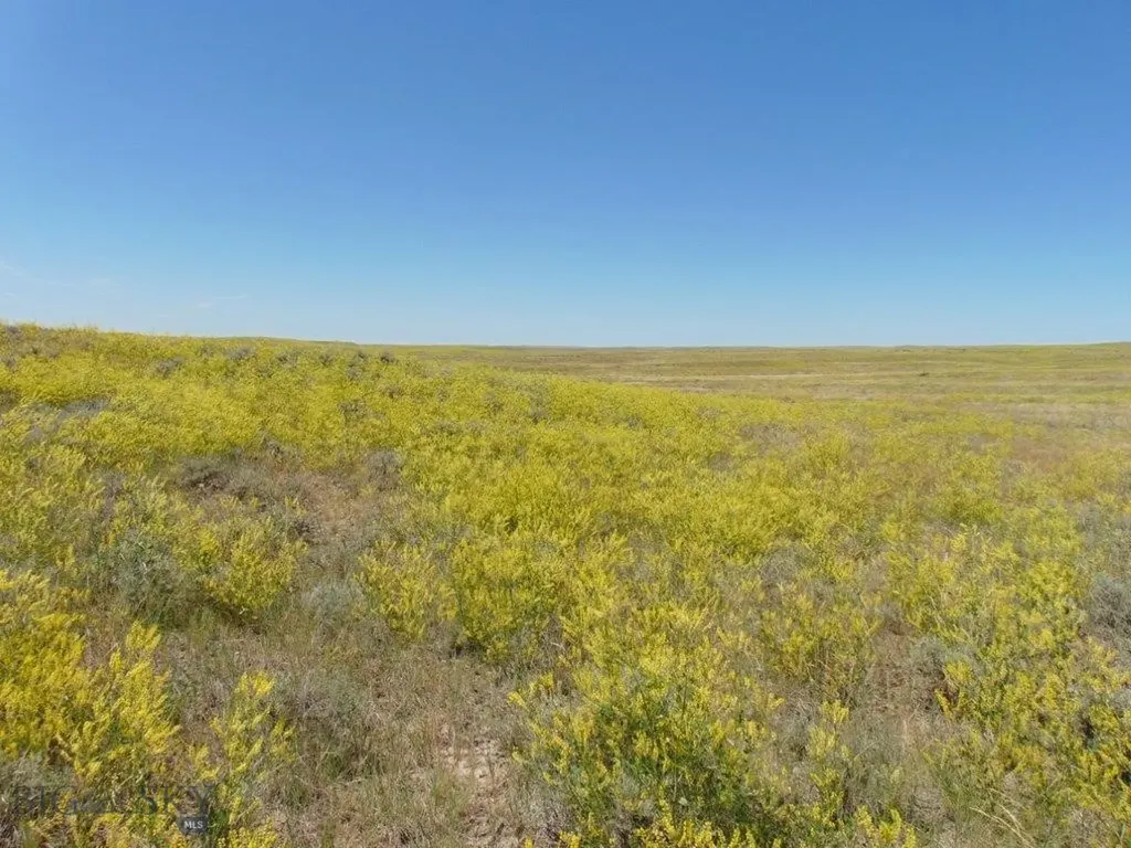Tbd Wilder Trail Lewistown MT 59457