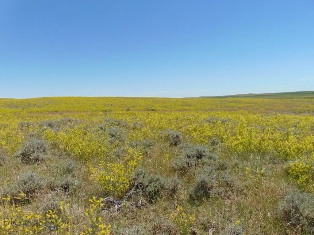 Tbd Wilder Trail Lewistown MT 59457