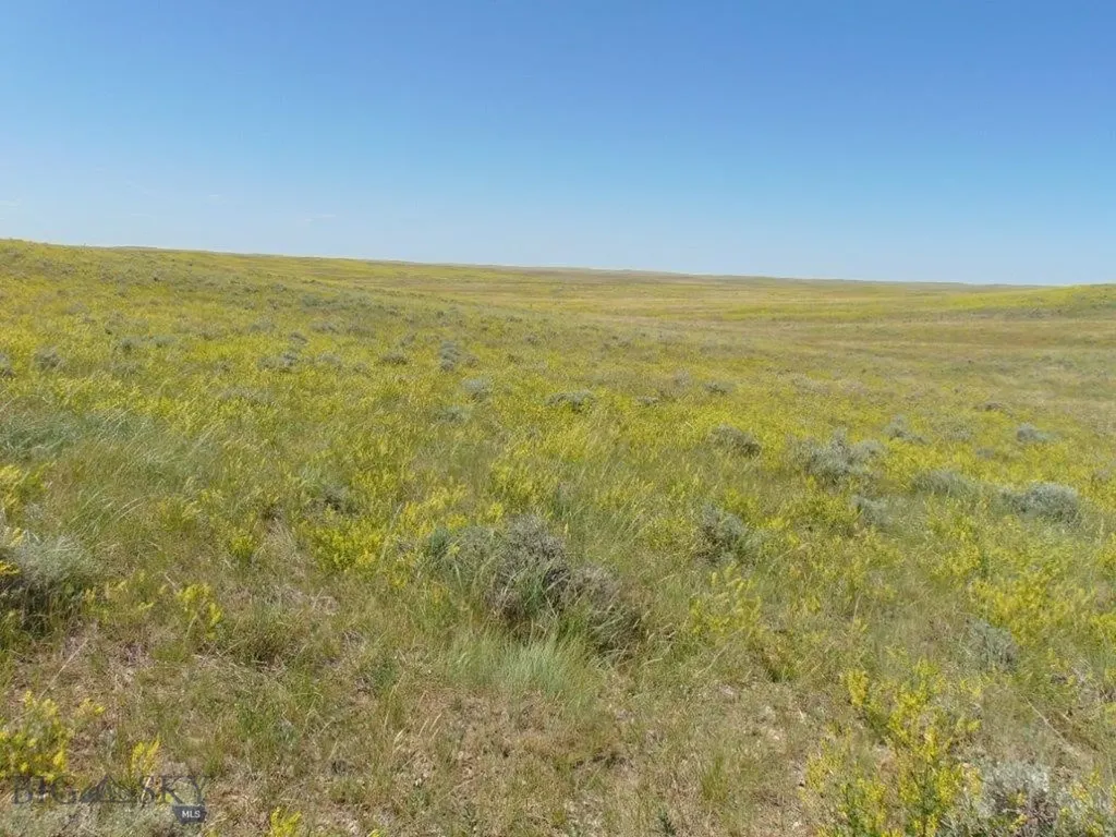 Tbd Wilder Trail Lewistown MT 59457