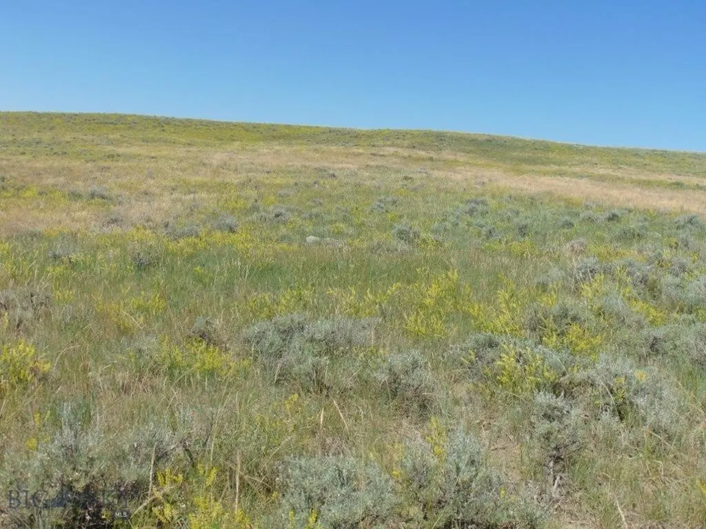 Tbd Wilder Trail Lewistown MT 59457