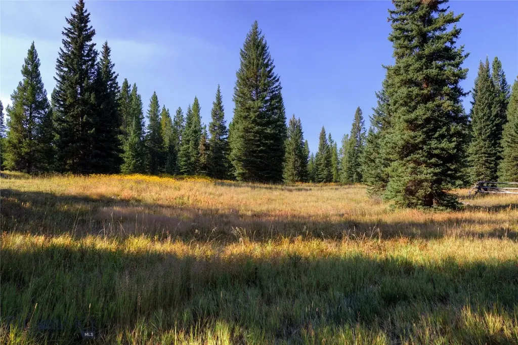 208 Outlook Trail Big Sky MT 58716