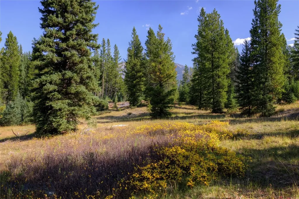208 Outlook Trail Big Sky MT 58716