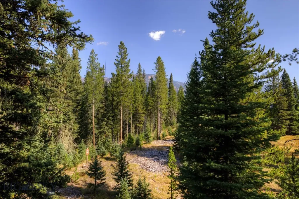 208 Outlook Trail Big Sky MT 58716