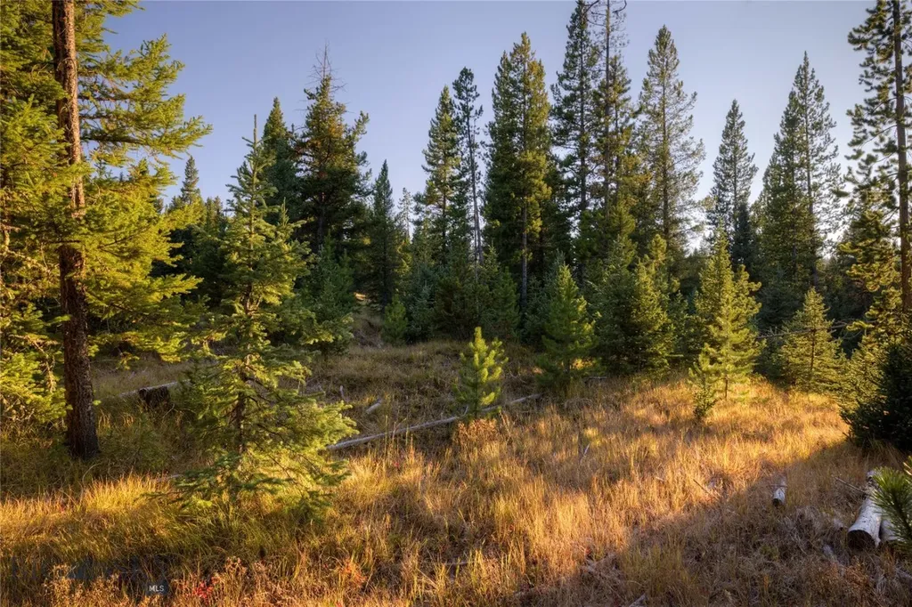 208 Outlook Trail Big Sky MT 58716