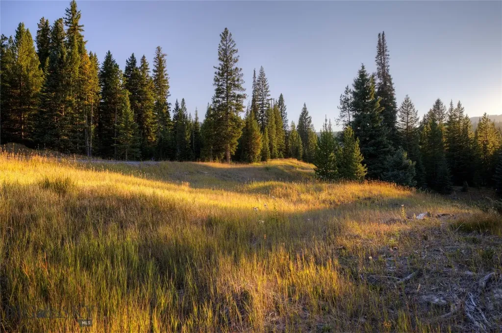 208 Outlook Trail Big Sky MT 58716