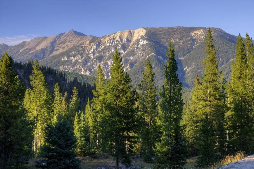 208 Outlook Trail Big Sky MT 58716