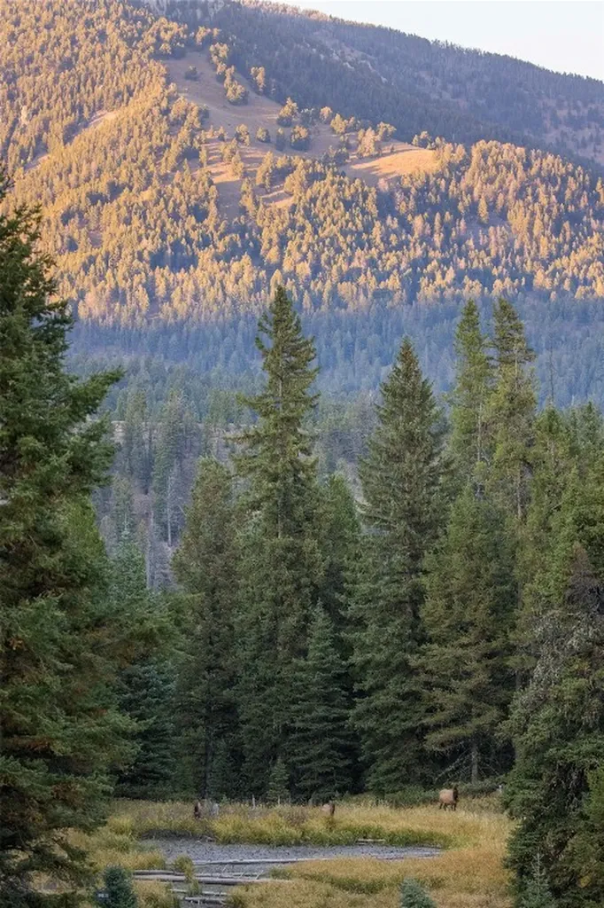 208 Outlook Trail Big Sky MT 58716