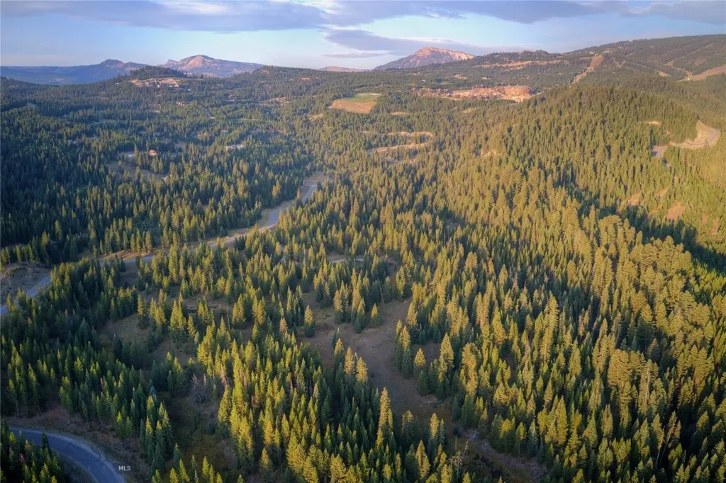 208 Outlook Trail Big Sky MT 58716