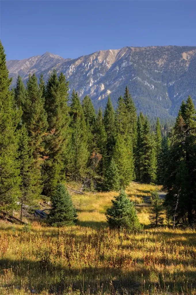 208 Outlook Trail Big Sky MT 58716