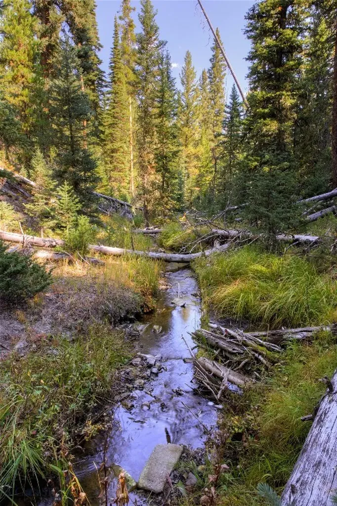 208 Outlook Trail Big Sky MT 58716