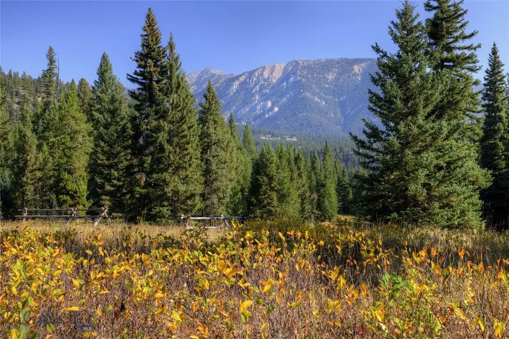 208 Outlook Trail Big Sky MT 58716