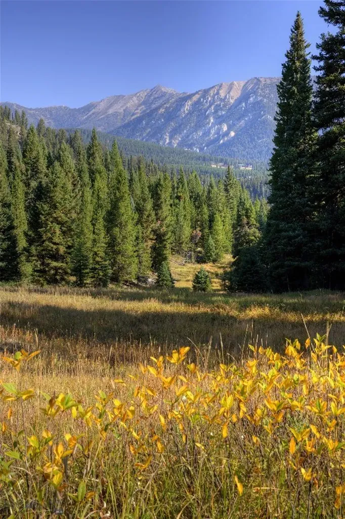 208 Outlook Trail Big Sky MT 58716