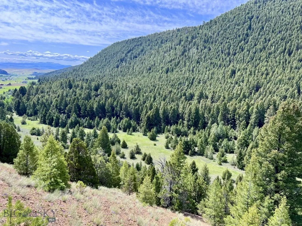 Nhn Lost Creek Road Anaconda MT 59711