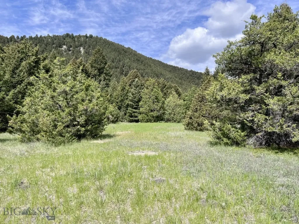 Nhn Lost Creek Road Anaconda MT 59711