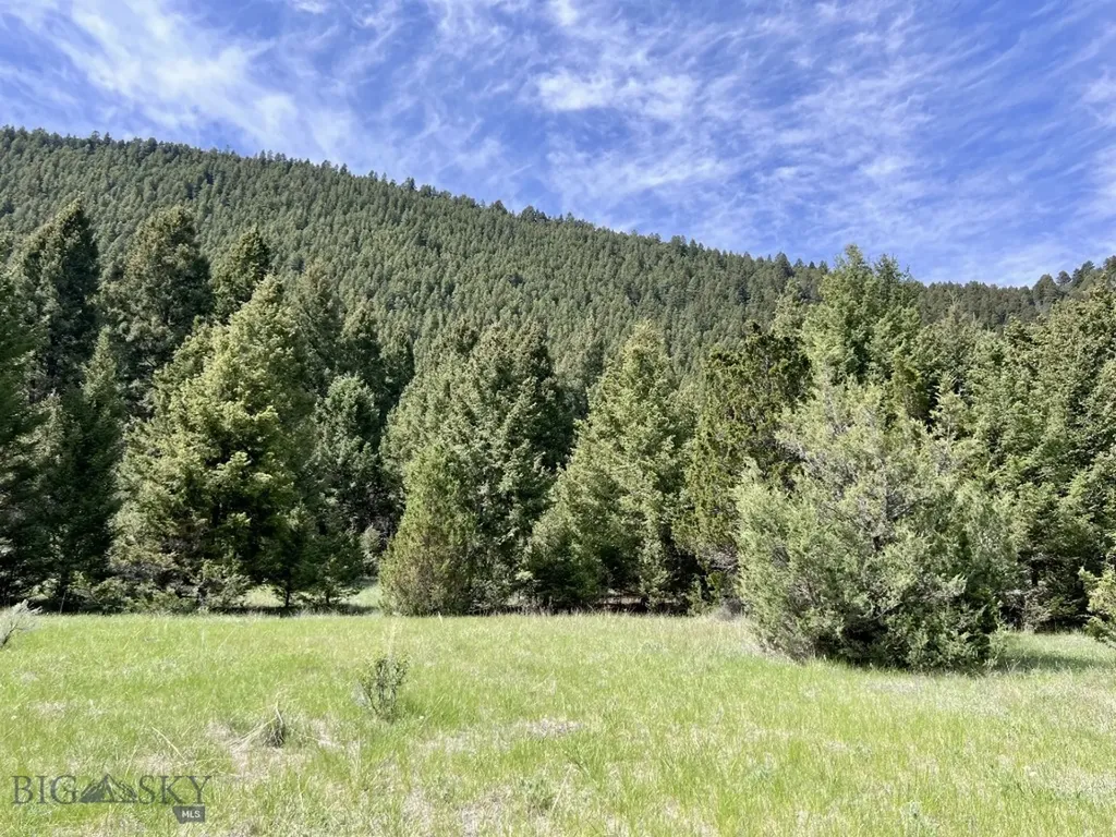 Nhn Lost Creek Road Anaconda MT 59711