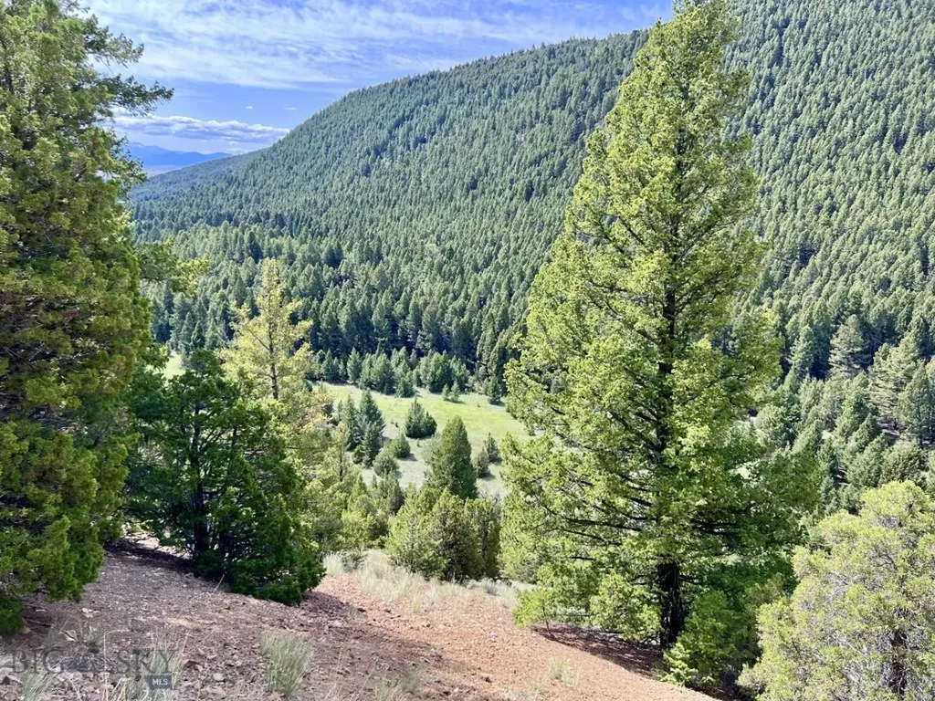 Nhn Lost Creek Road Anaconda MT 59711