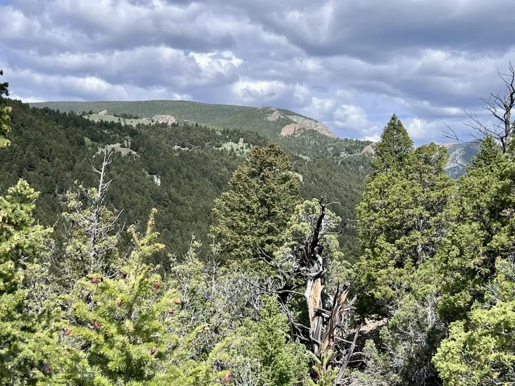 Nhn Lost Creek Road Anaconda MT 59711
