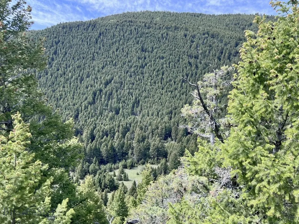 Nhn Lost Creek Road Anaconda MT 59711