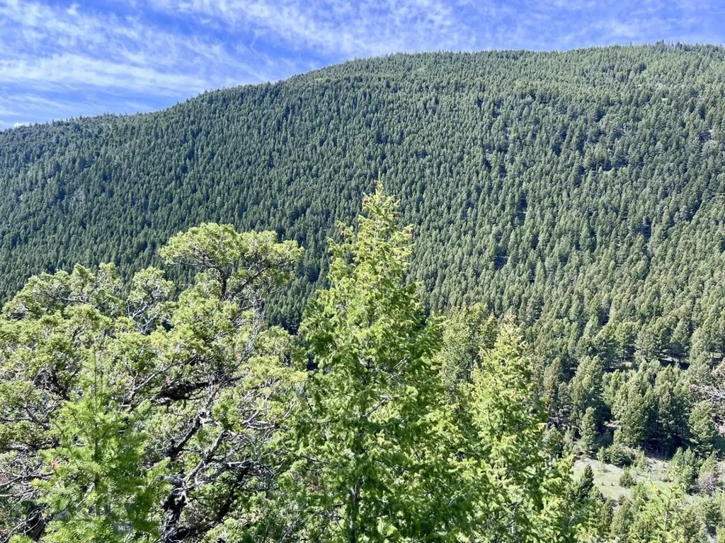 Nhn Lost Creek Road Anaconda MT 59711