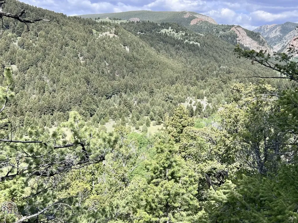 Nhn Lost Creek Road Anaconda MT 59711