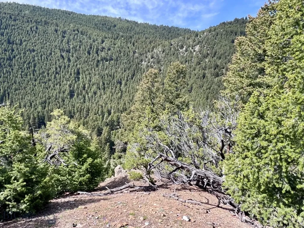 Nhn Lost Creek Road Anaconda MT 59711