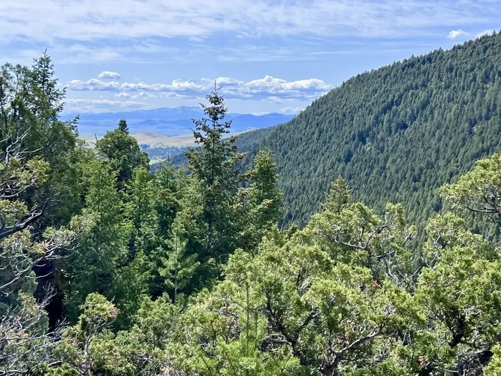 Nhn Lost Creek Road Anaconda MT 59711