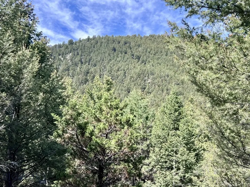 Nhn Lost Creek Road Anaconda MT 59711