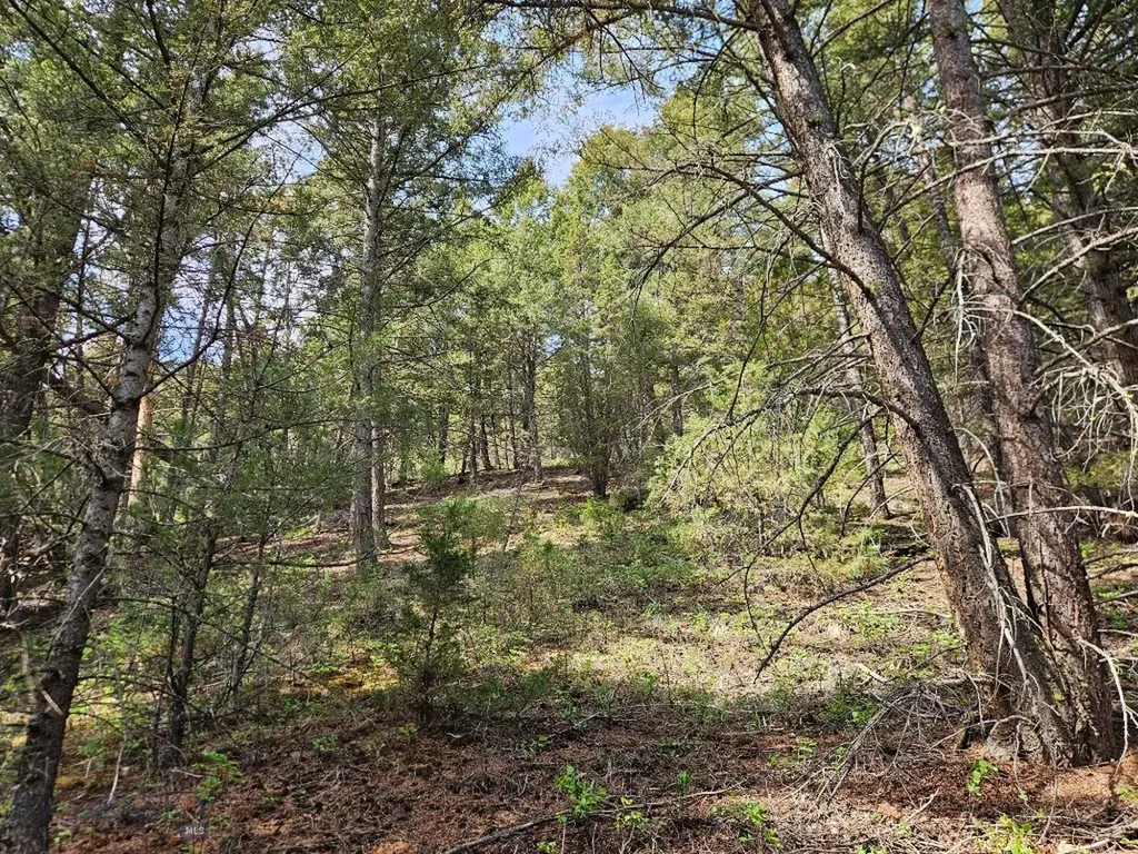 Nhn Lost Creek Road Anaconda MT 59711