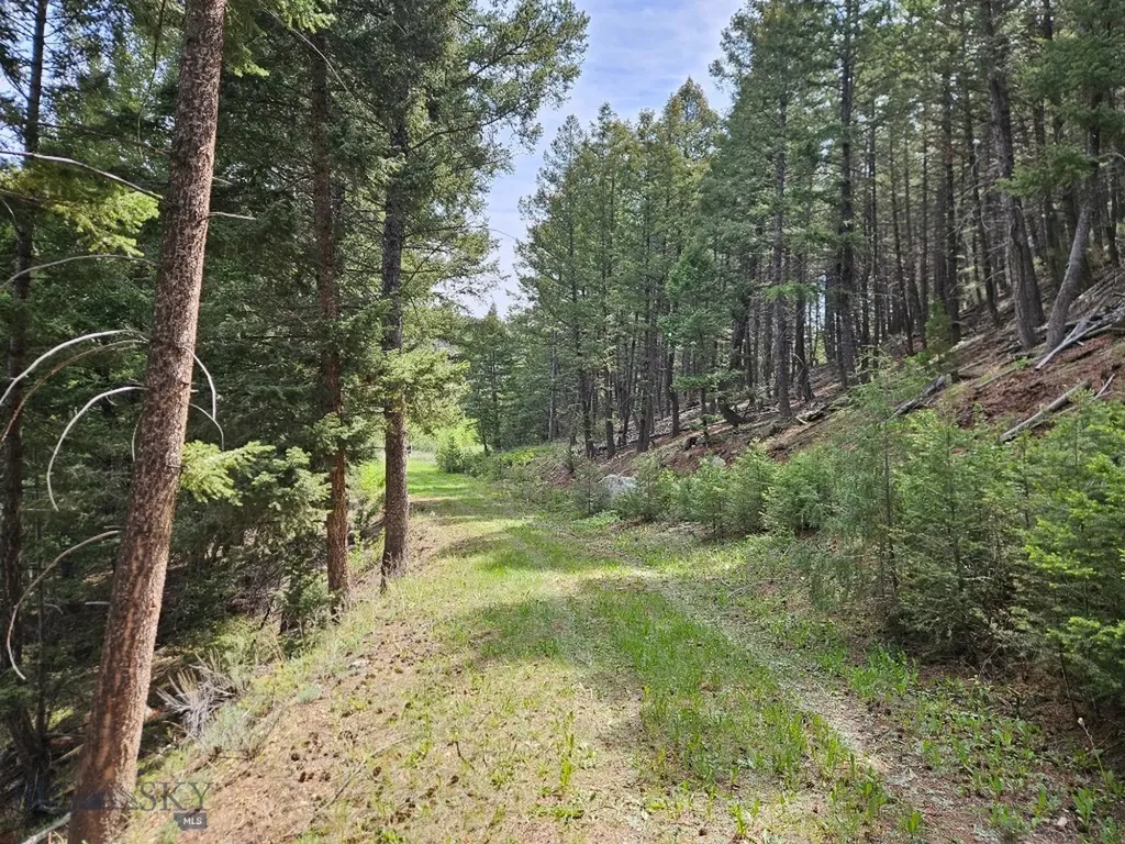 Nhn Lost Creek Road Anaconda MT 59711