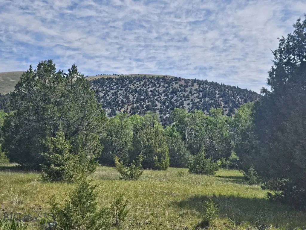 Nhn Lost Creek Road Anaconda MT 59711