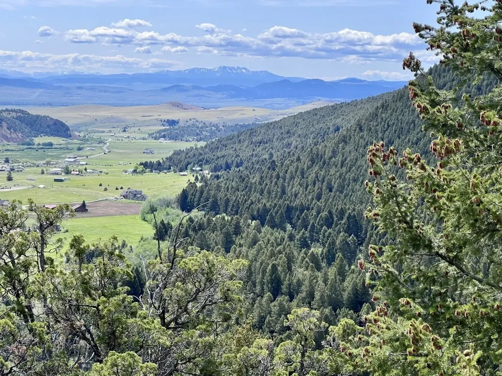 Nhn Lost Creek Road Anaconda MT 59711