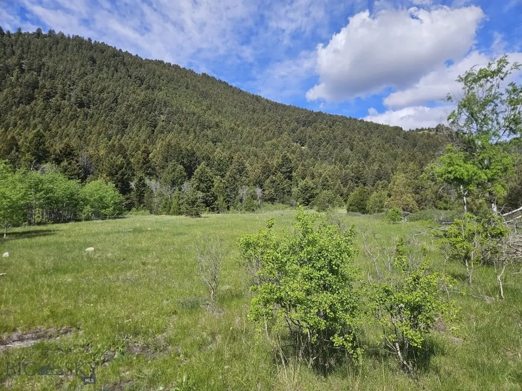 Nhn Lost Creek Road Anaconda MT 59711