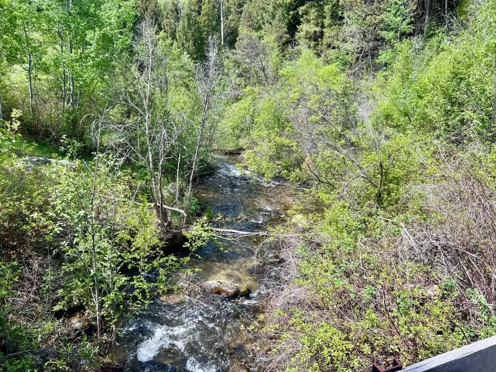 Nhn Lost Creek Road Anaconda MT 59711