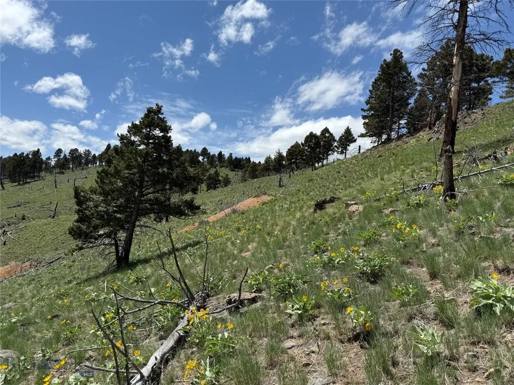 Tbd (40.1 +/- Ac) High Ore Road Boulder MT 59632