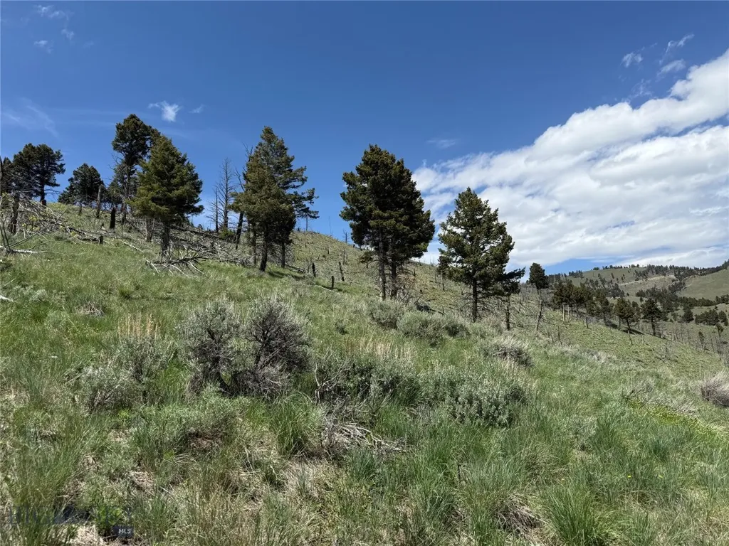Tbd (40.1 +/- Ac) High Ore Road Boulder MT 59632