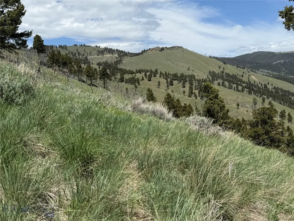 Tbd (40.1 +/- Ac) High Ore Road Boulder MT 59632