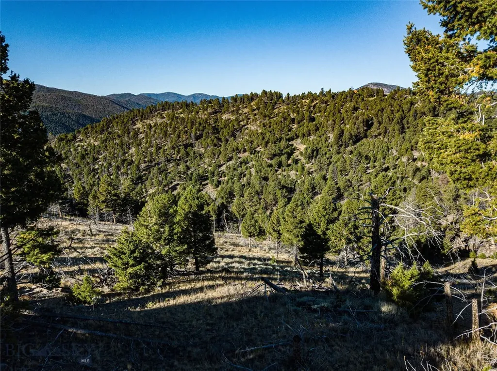 Tbd (40.1 +/- Ac) High Ore Road Boulder MT 59632