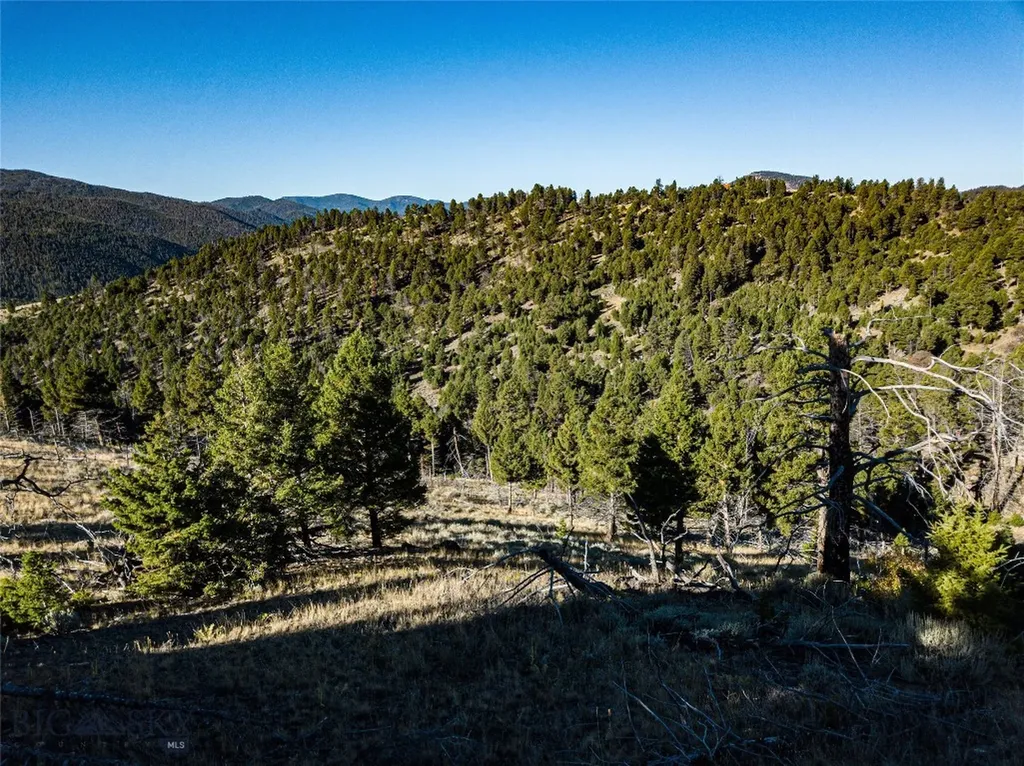 Tbd (40.1 +/- Ac) High Ore Road Boulder MT 59632