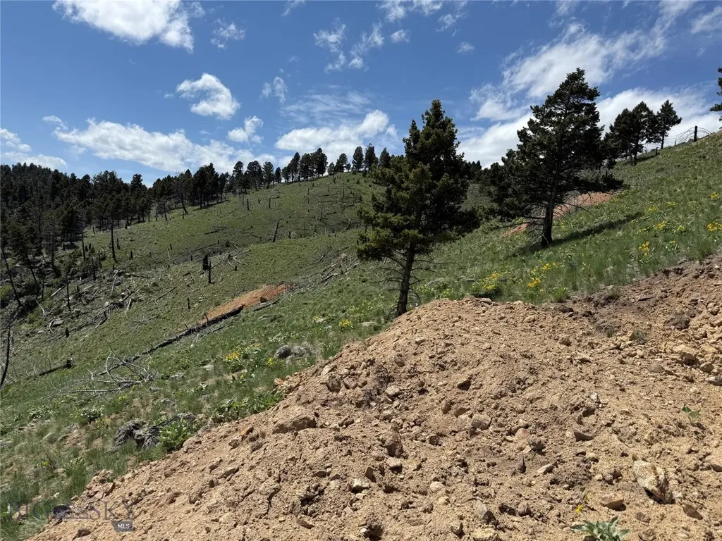 Tbd (40.1 +/- Ac) High Ore Road Boulder MT 59632