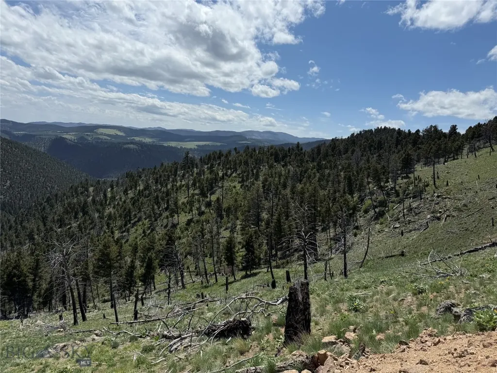 Tbd (40.1 +/- Ac) High Ore Road Boulder MT 59632