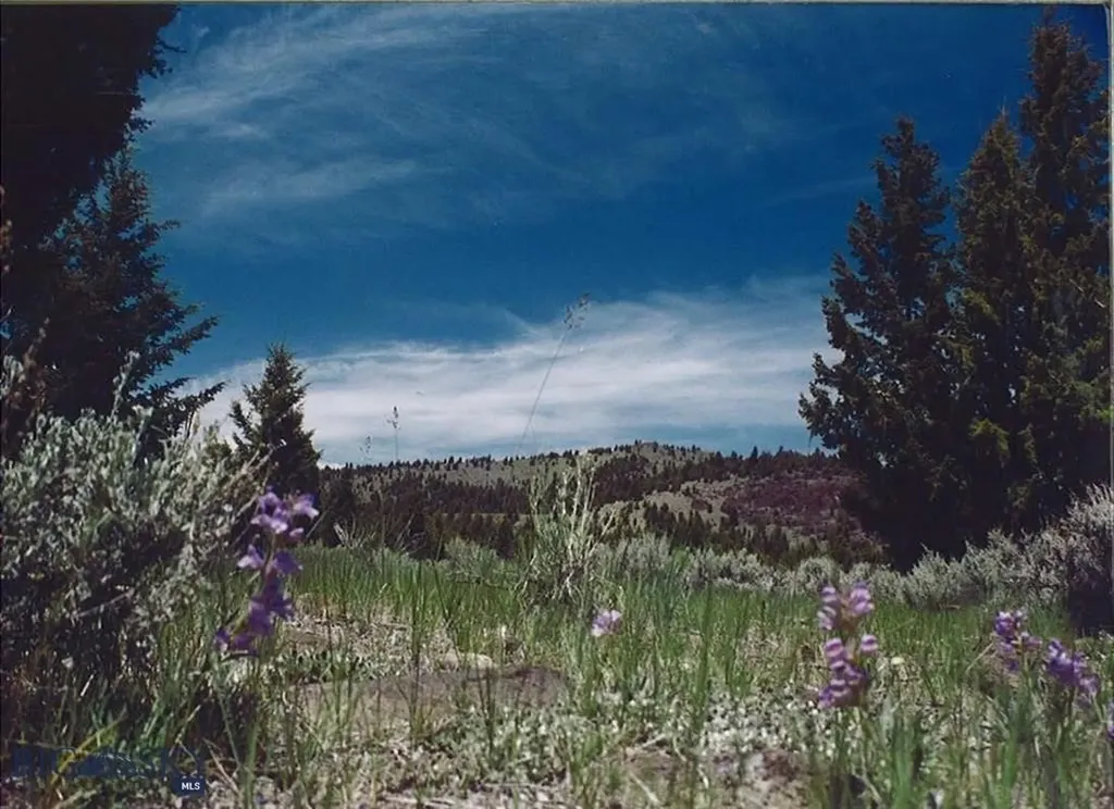 Tbd Lookout Trail Ramsay MT 59701