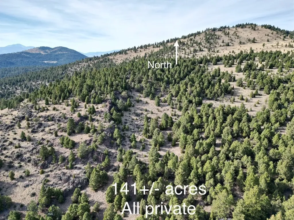 Tbd Lookout Trail Ramsay MT 59701