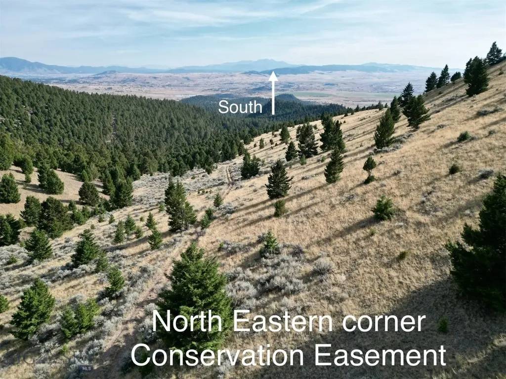 Tbd Lookout Trail Ramsay MT 59701