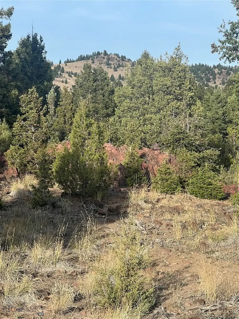 Tbd Lookout Trail Ramsay MT 59701