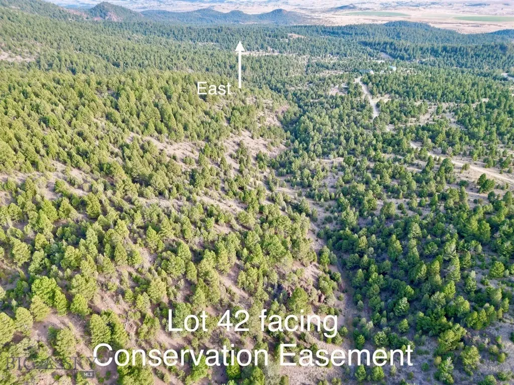 Tbd Lookout Trail Ramsay MT 59701