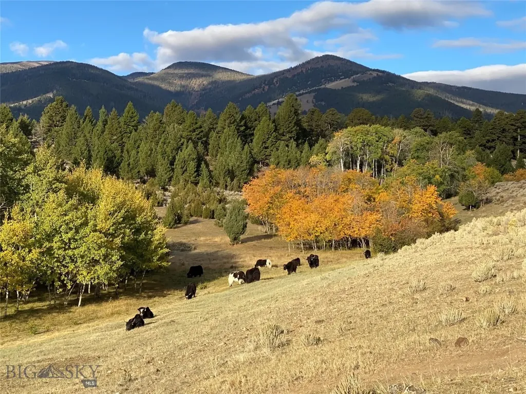 5845 Dry Creek Ranch Road Whitehall MT 59759