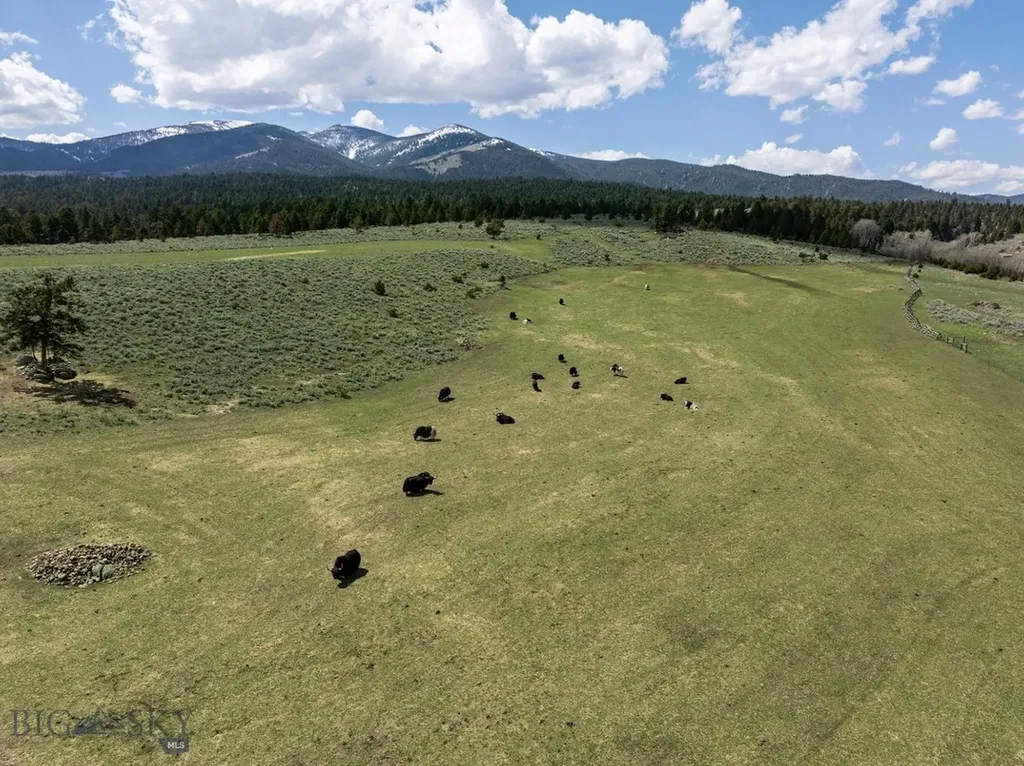 5845 Dry Creek Ranch Road Whitehall MT 59759