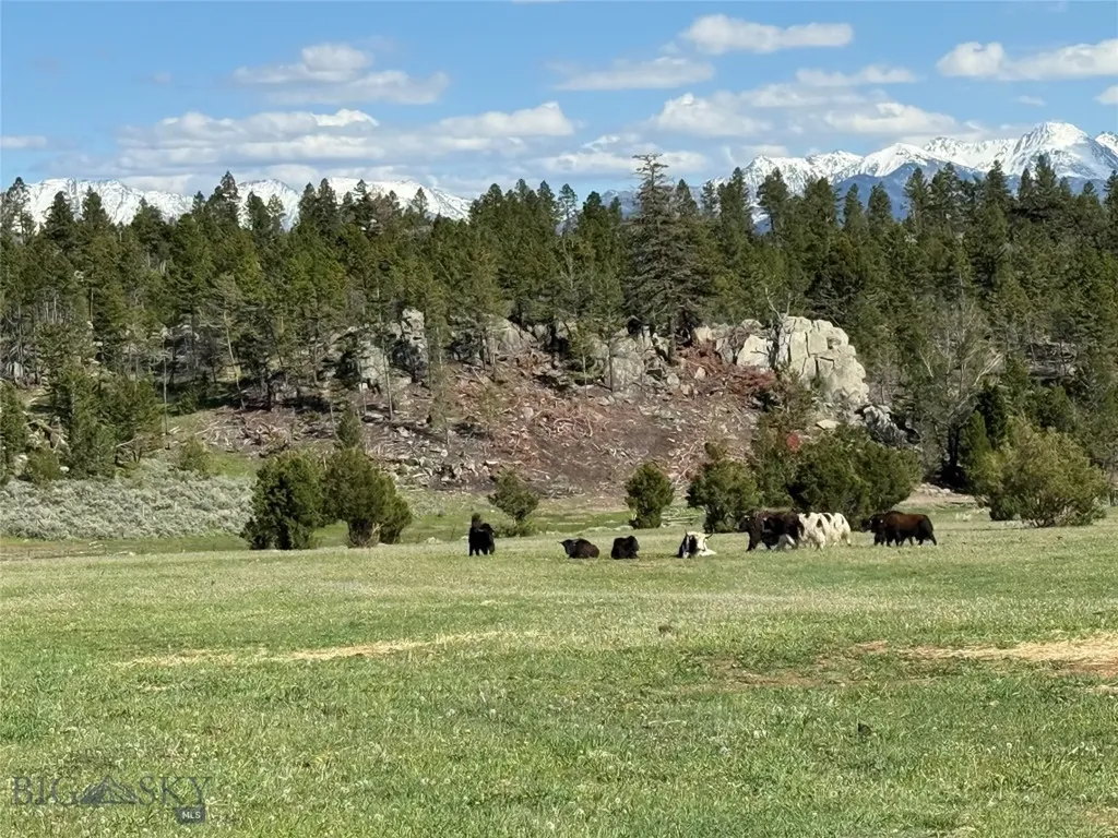 5845 Dry Creek Ranch Road Whitehall MT 59759